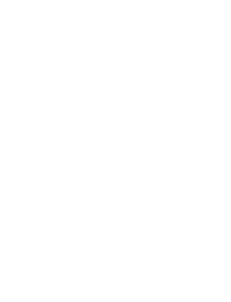 Peru Combustible